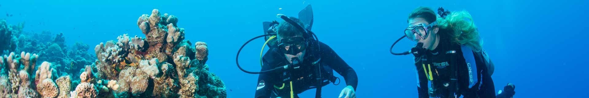 Formations de plongée sous-marine
