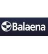 Balaena
