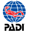 Padi
